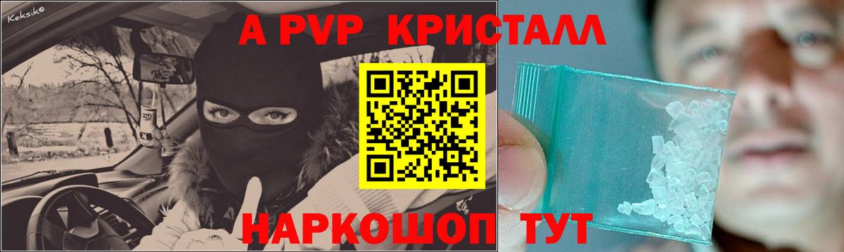 A-PVP СК Коряжма