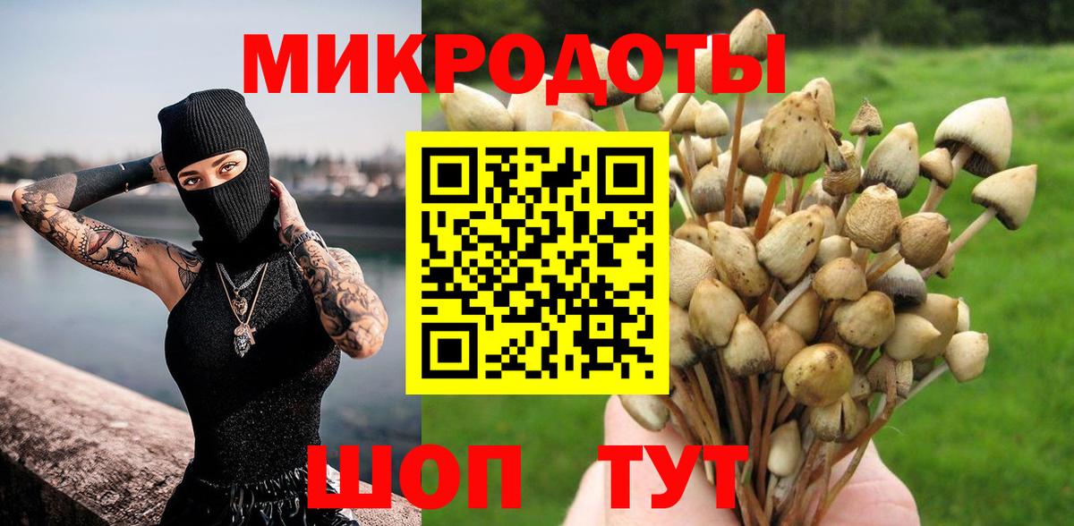 Псилоцибиновые грибы GOLDEN TEACHER  Вход с VPN  Коряжма 