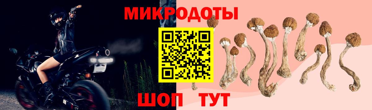 Галлюциногенные грибы ЛСД Коряжма